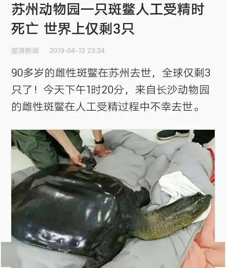 热搜凉了我还是想再发声
