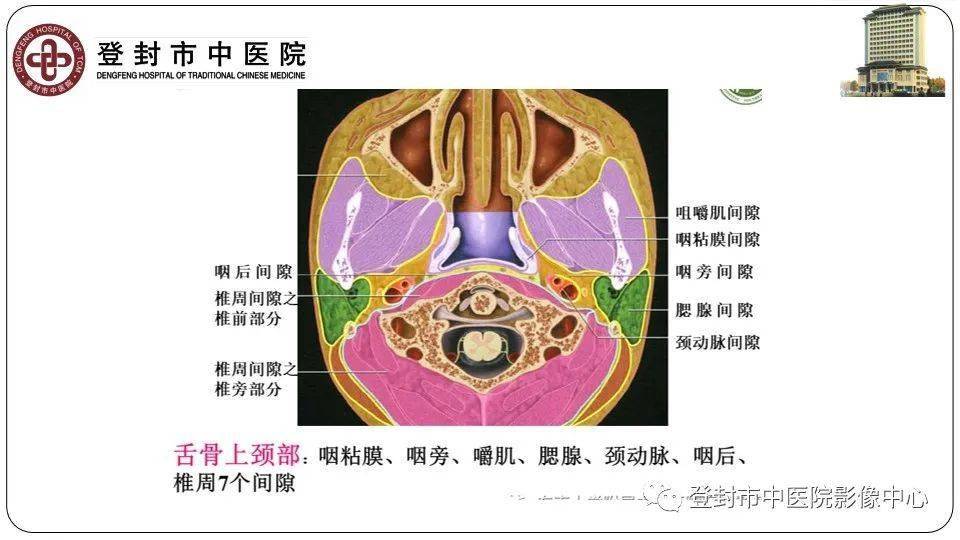 颈部间隙解剖及先天性囊性病变影像诊断_检查_丁伟源_平台