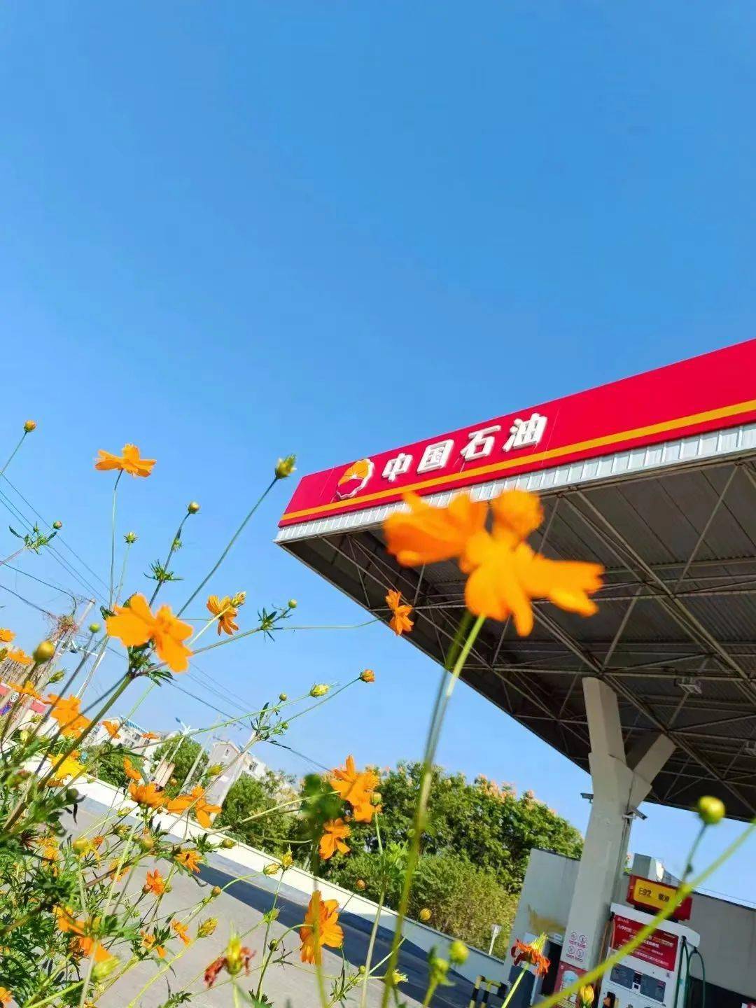 快来投票!为你心目中的"夏日最美加油站"打call