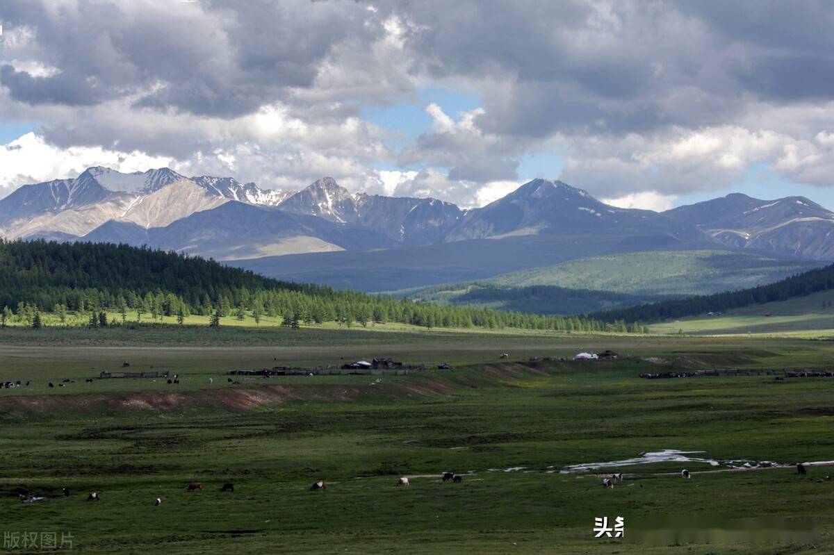 蒙古国库苏古尔省草原一望无际牛马成群一片祥和_经蒙古_驯鹿_海狸