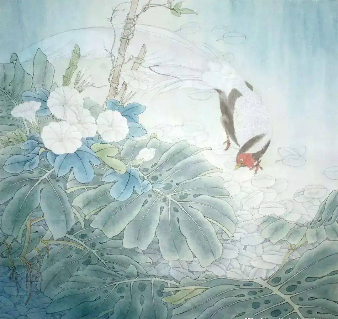 工笔《龟背竹白鹇》画法教程!_部分_钛白_叶用