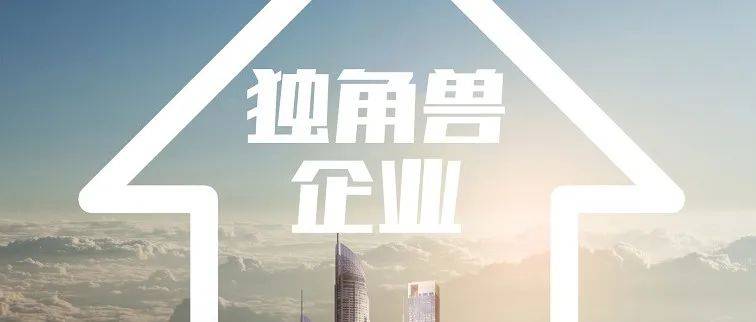 杭州准独角兽突破300家_企业_制造_科技
