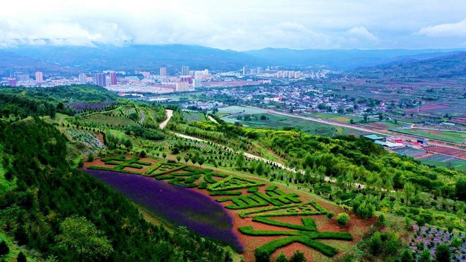 6565这个季节,花舞北山成为清水热门景点,吸引众多市民和游客打卡