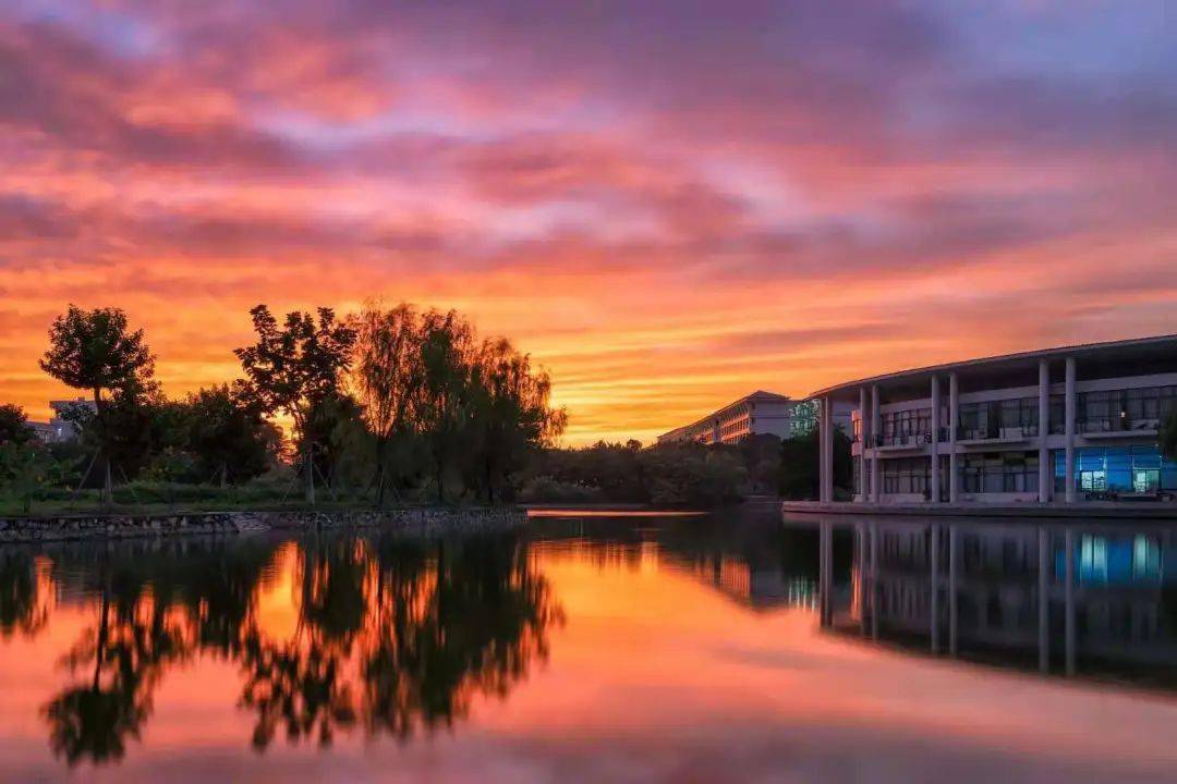 云参观丨带你身临其境地走入广外南国商学院