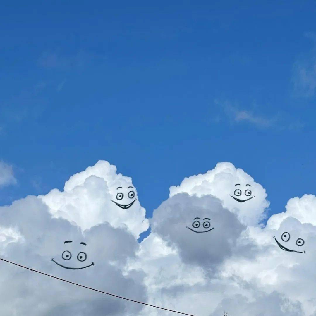 8,一只小浣熊9,动物园10,四只小猫11,守门员12,可爱的小狗13,抽烟的人