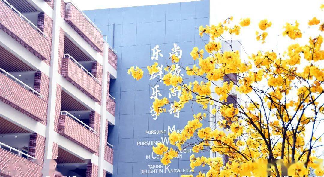 补录学校查询2024_补录学校查询2023_补录的学校