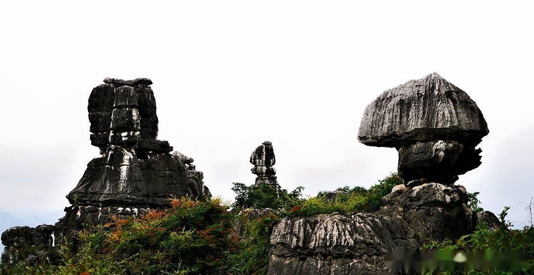 经风霜伫立天地,亘古不变的"万年灵芝"_石林_景区_石柱