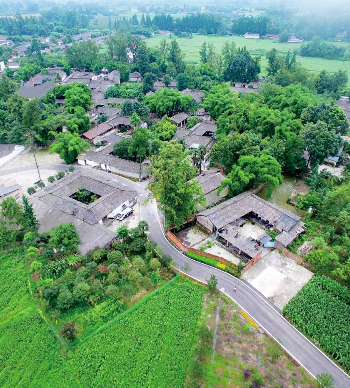 夏日怎么玩转川西林盘官方推荐来了