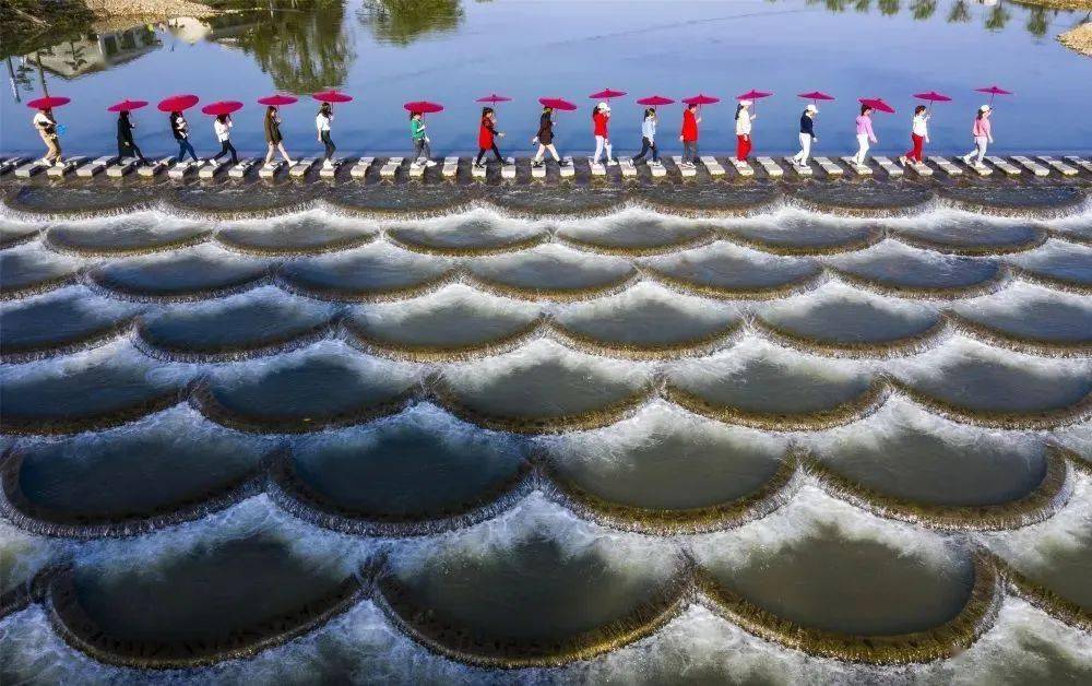浏河第一湾画里小河水上火车竹筏慢漂网红小河乡一日团建