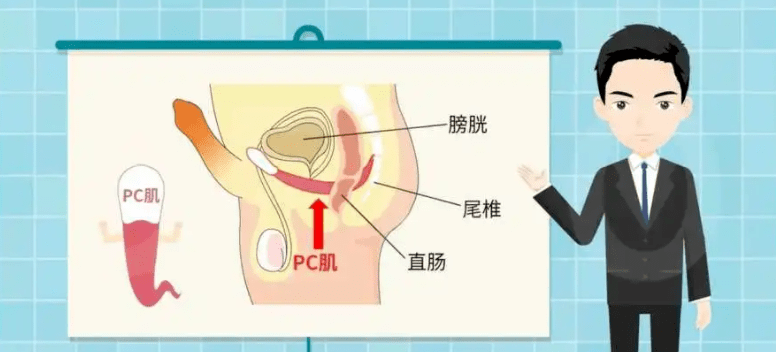 壮阳绝技 一个月恢复状态