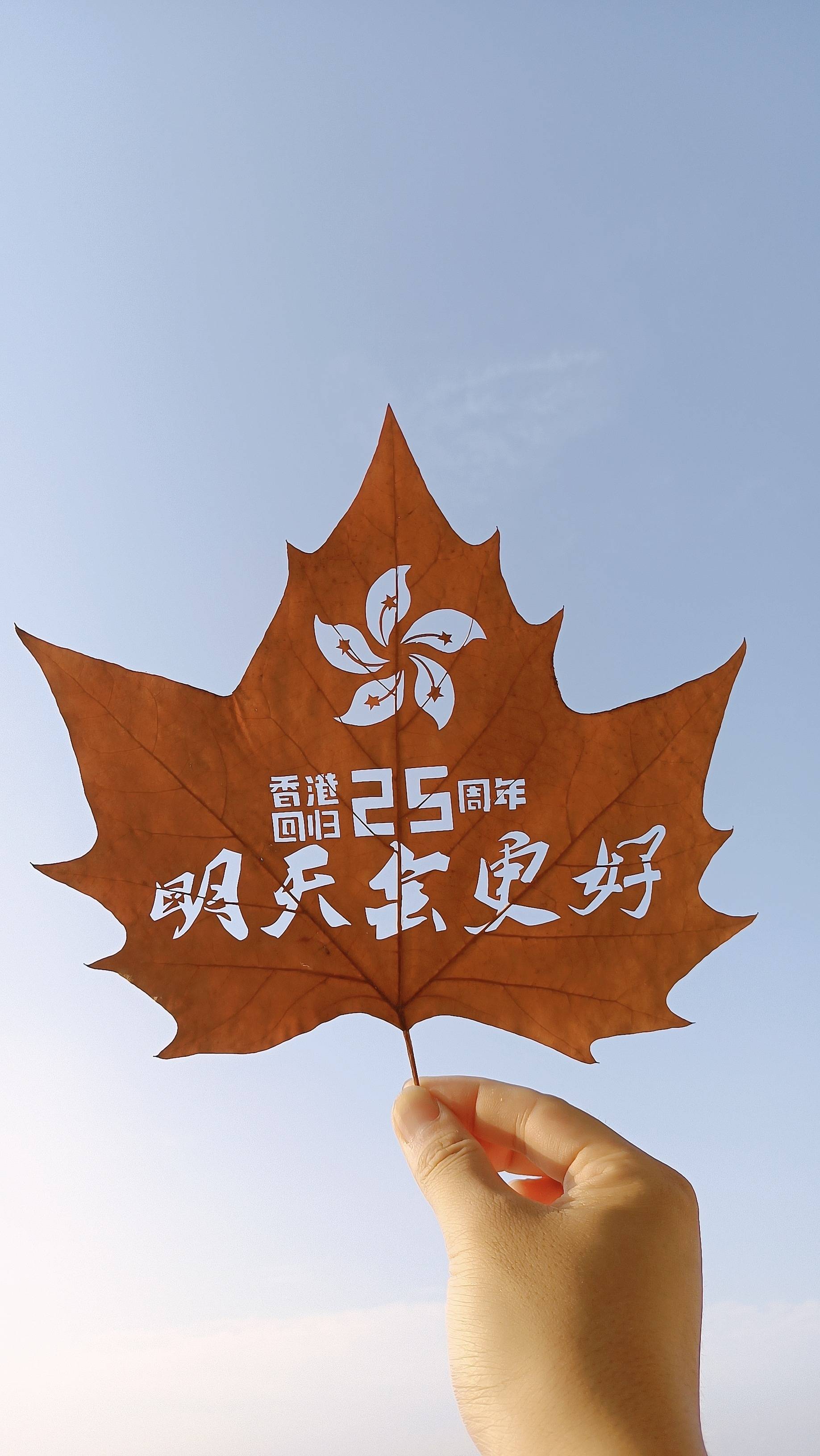 山东小伙用叶雕庆祝香港回归25周年想用擅长的方式表达祝福