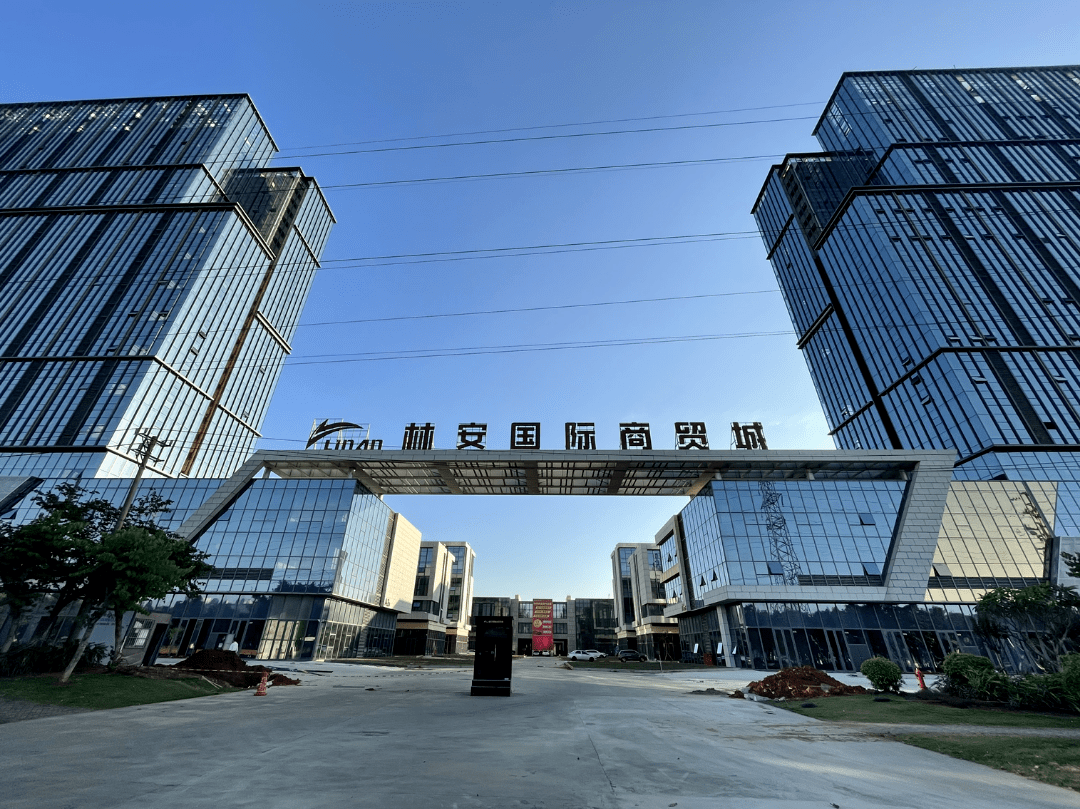 批发零售业的新机遇：数字化转型与市场洞察
