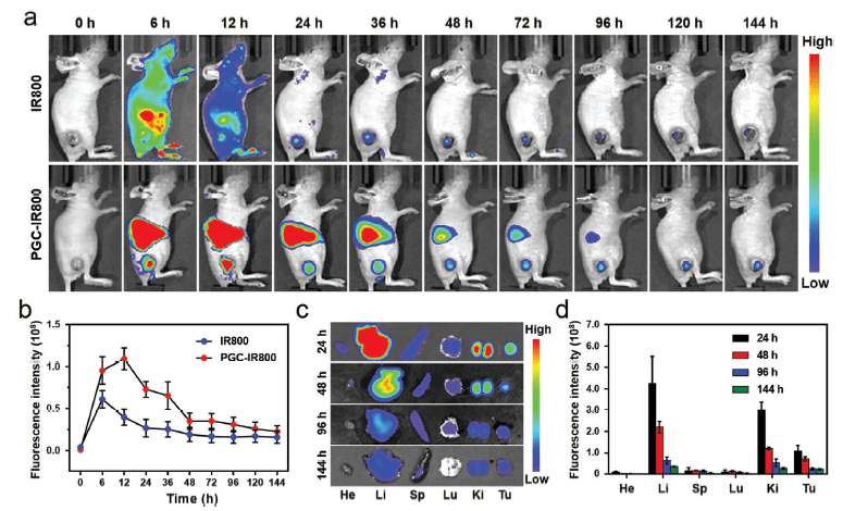 成像视野范围可调,能够满足5只小鼠同时成像;2.