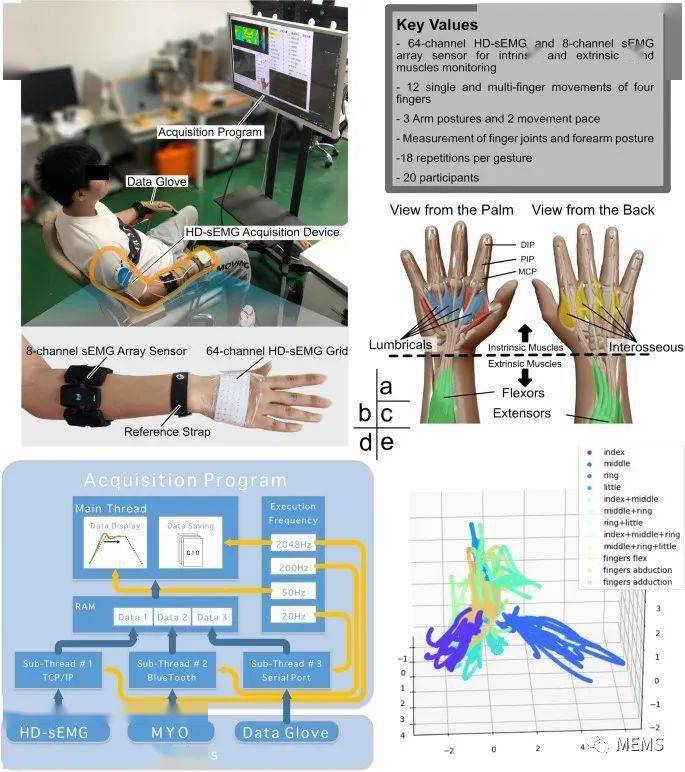 高密度表面肌电信号数据集可用于解析手指运动密码
