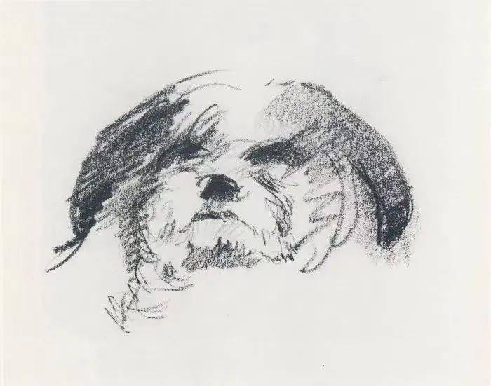 ŵ�����������·���������������б�̿���û���ح�˿�ҹ�� ...