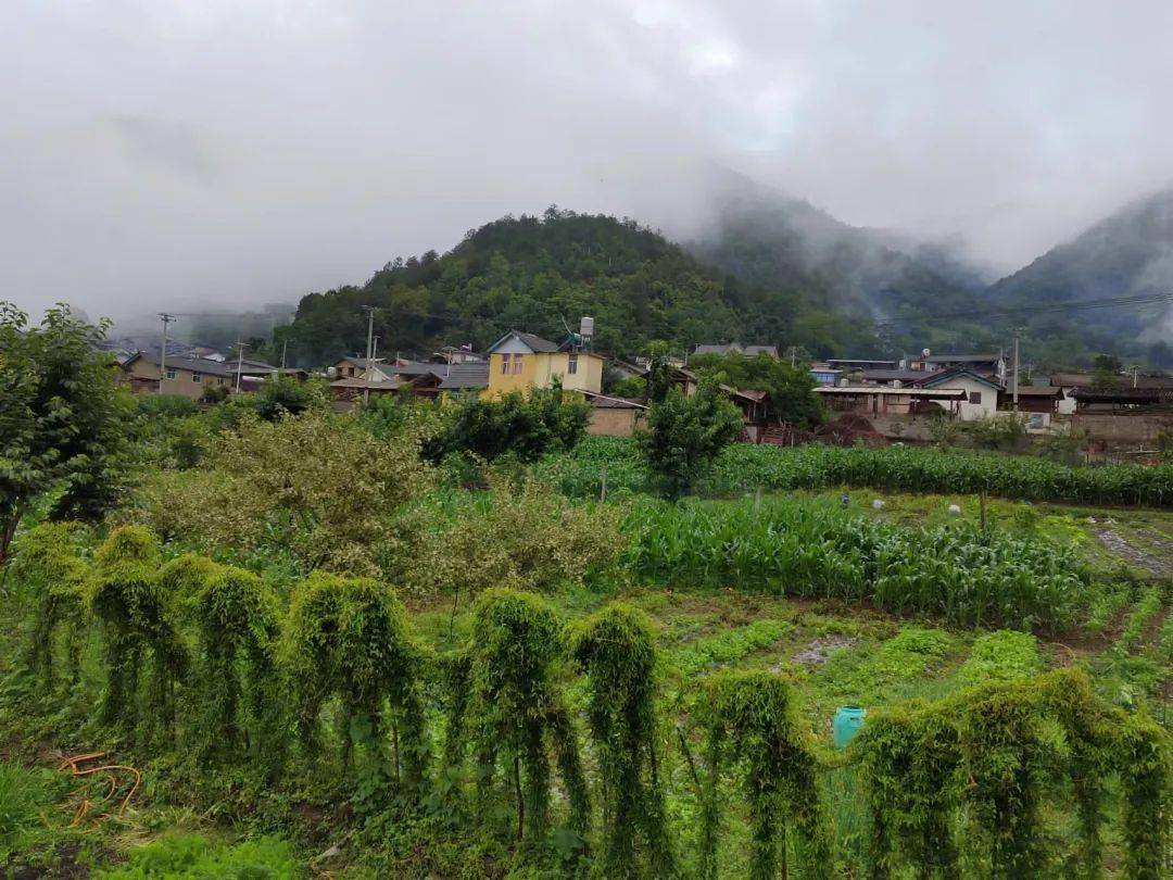 维西保和镇典型引路争创人才红旗村