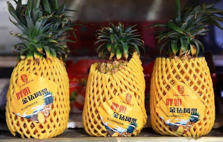 【实拍】上冈菜场,为你提供各种爆款水果,好吃又健康