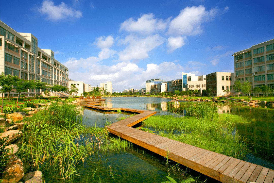 浙江财经大学2022年成人高等学历教育招生简章