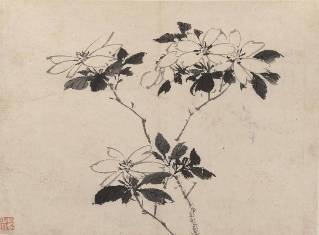 白阳陈淳以书入画开拓了花鸟画大写意新的艺术境地