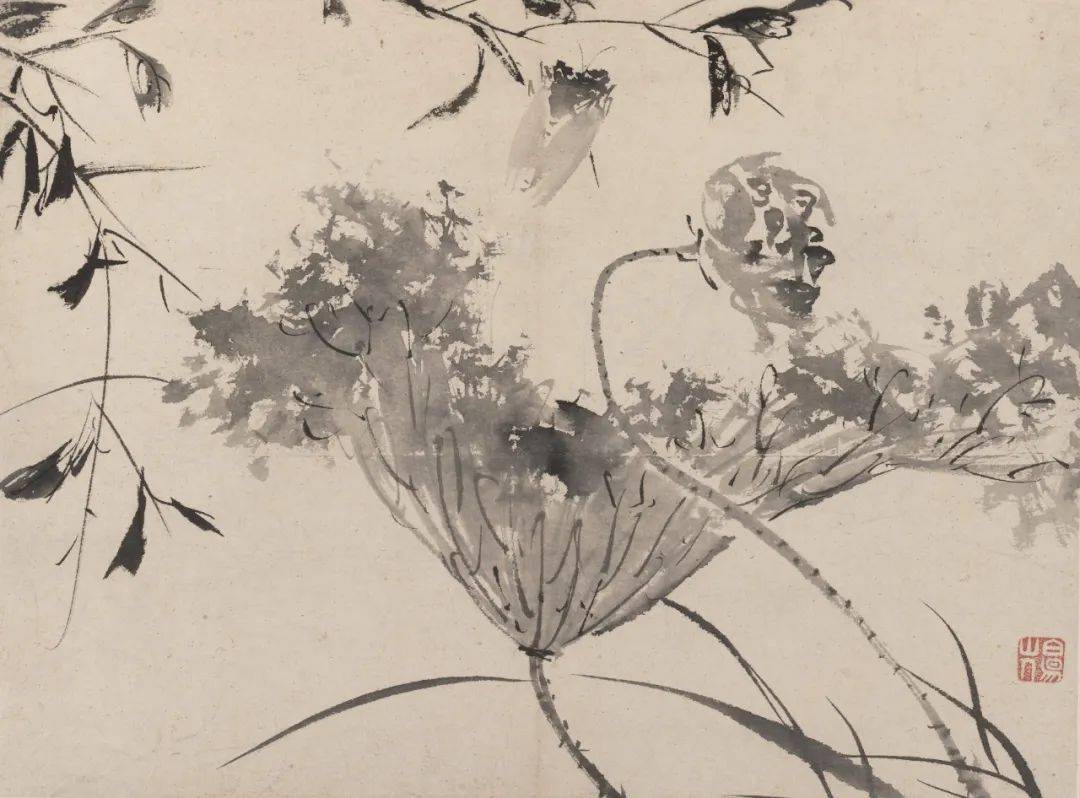 白阳陈淳以书入画开拓了花鸟画大写意新的艺术境地