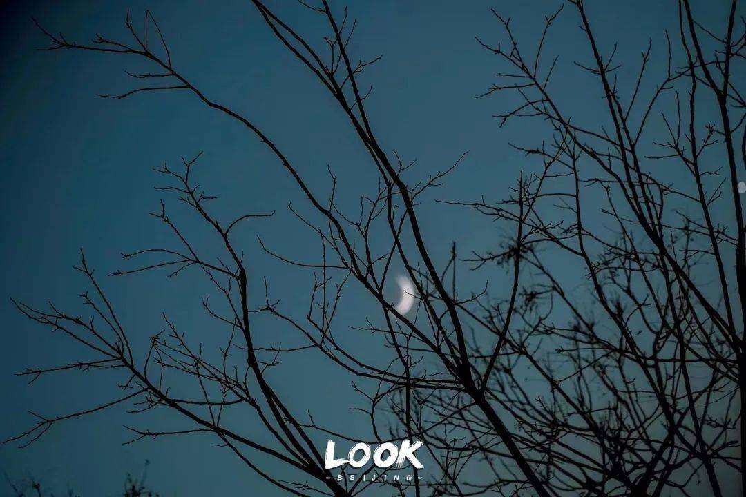 夏夜图鉴 · 属于北京的7种玩法 | 北京look_色调_城市_建筑