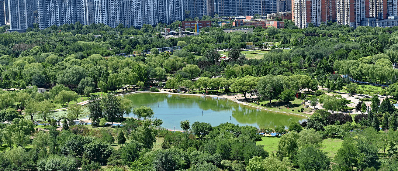 健身賞花更開心,太陽宮公園改造升級完成_休閒_進行_居民