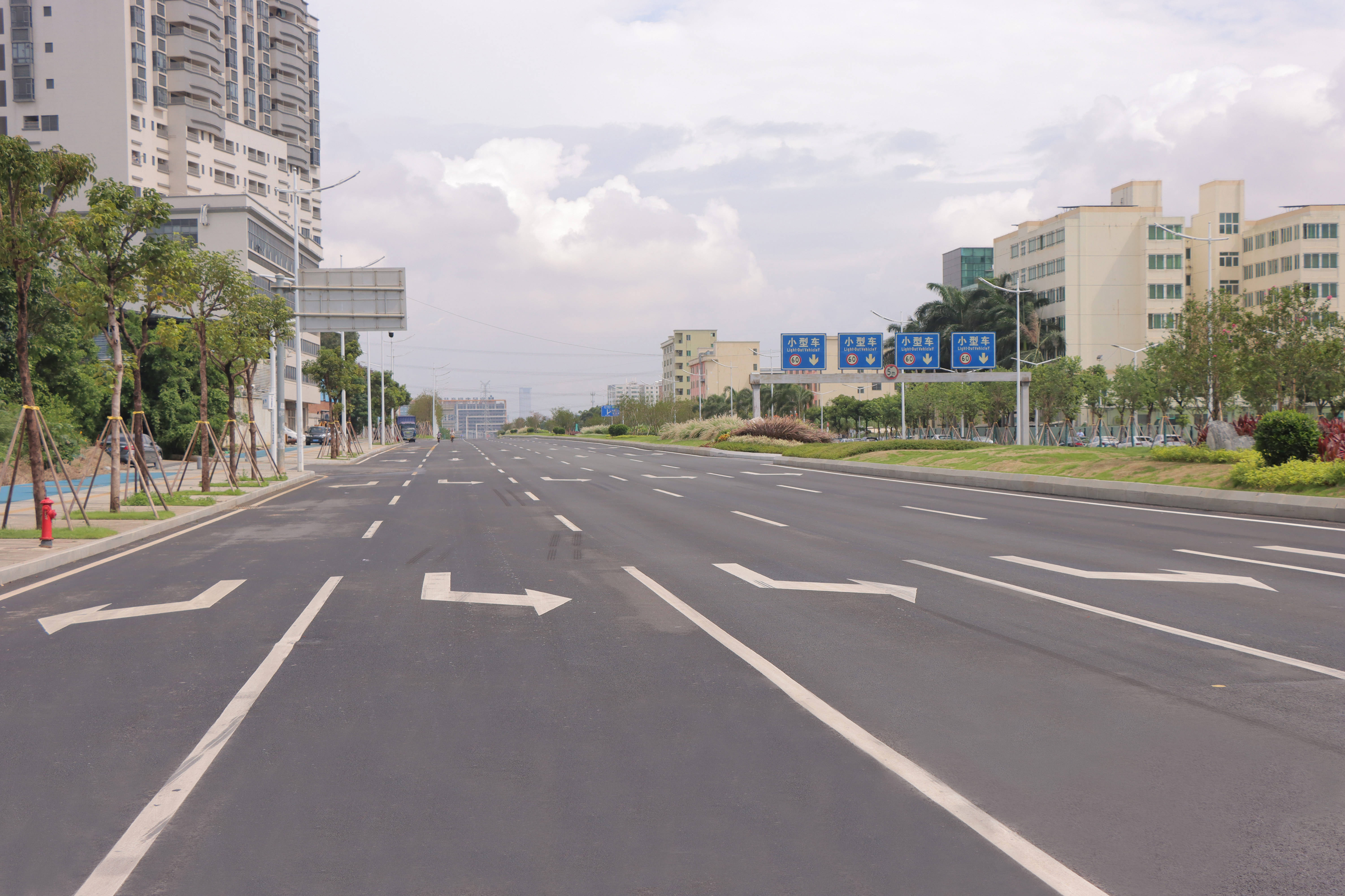 迅速整改曝光问题滨海湾持续发力提升城市道路颜值