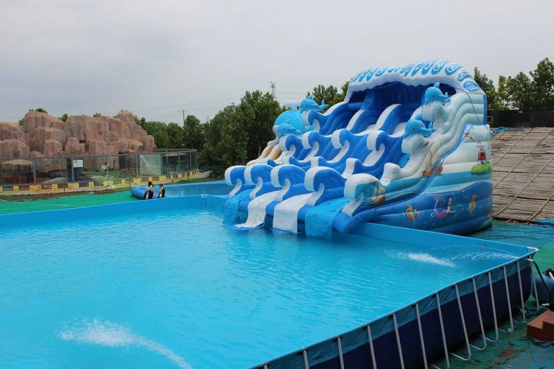 龙口这家水上乐园开园啦···这个夏天有的浪了!_动植物_夏日_南小区