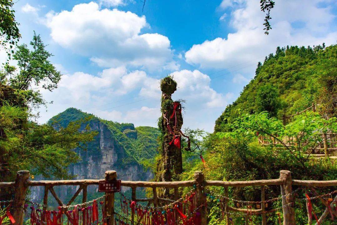 贵州新闻联播丨清凉气候爽 万山避暑游持续升温_朱砂_旅游_景区