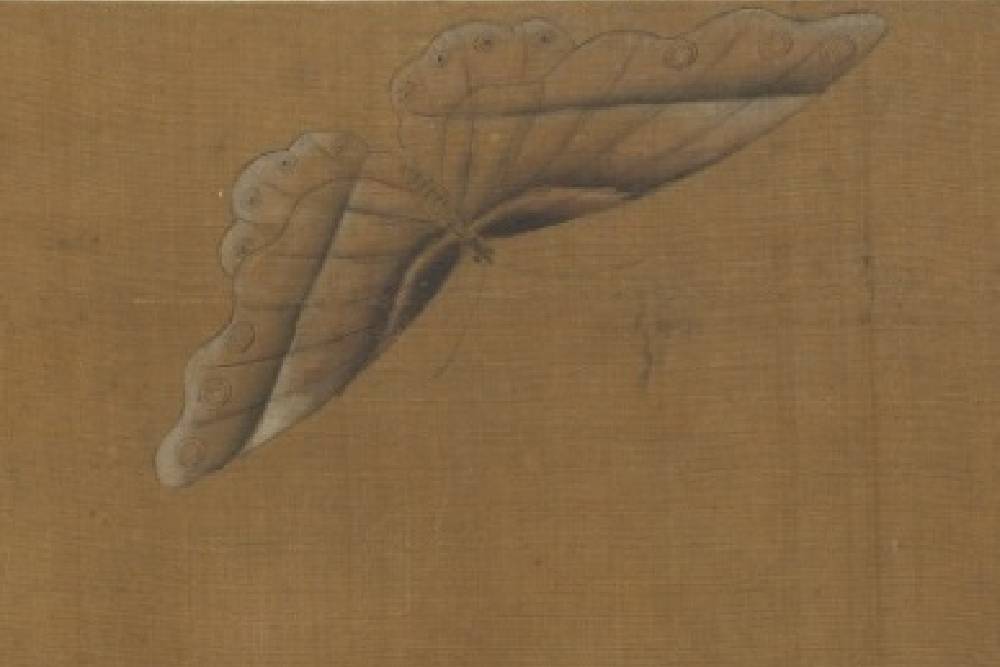 台北故宫大型特展“草虫捉迷藏”：寻找宋画里的虫迹
                
                 