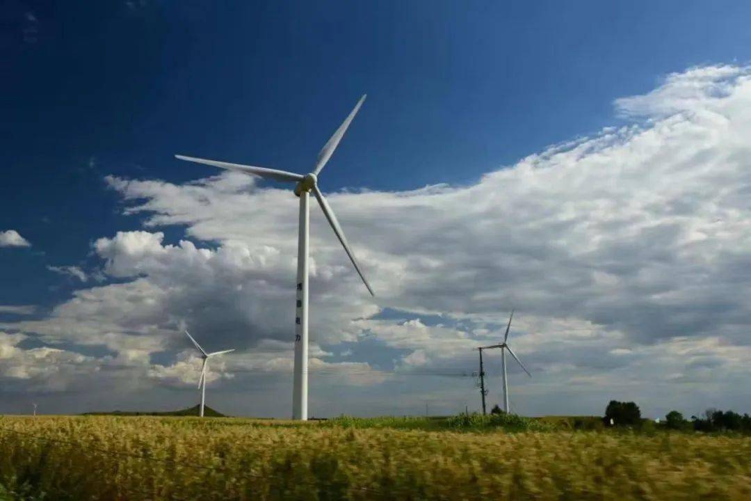 节能低碳环保"随手拍"摄影比赛作品_班级_姓名_专业