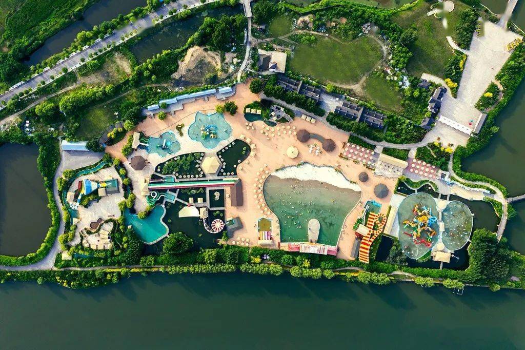 优雅绽放的荷花迎风摇曳俯仰生姿,惹人沉醉▲张云学 摄柳壕湿地公园1