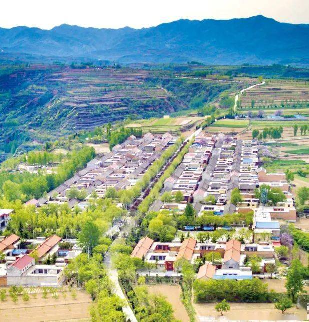 盐湖美如画平陆天鹅湾黄河湿地保护区——万荣县西滩运城市委副书记