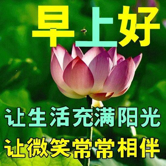 7月11日最新早上好祝福动态表情图片大全，早上好问候语句子！ 阳光 生活 收获