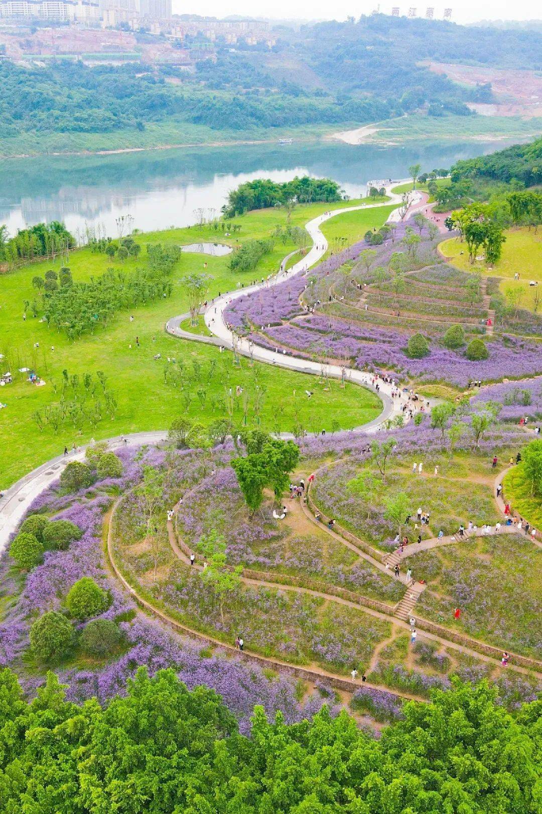 三板溪湿地公园图片