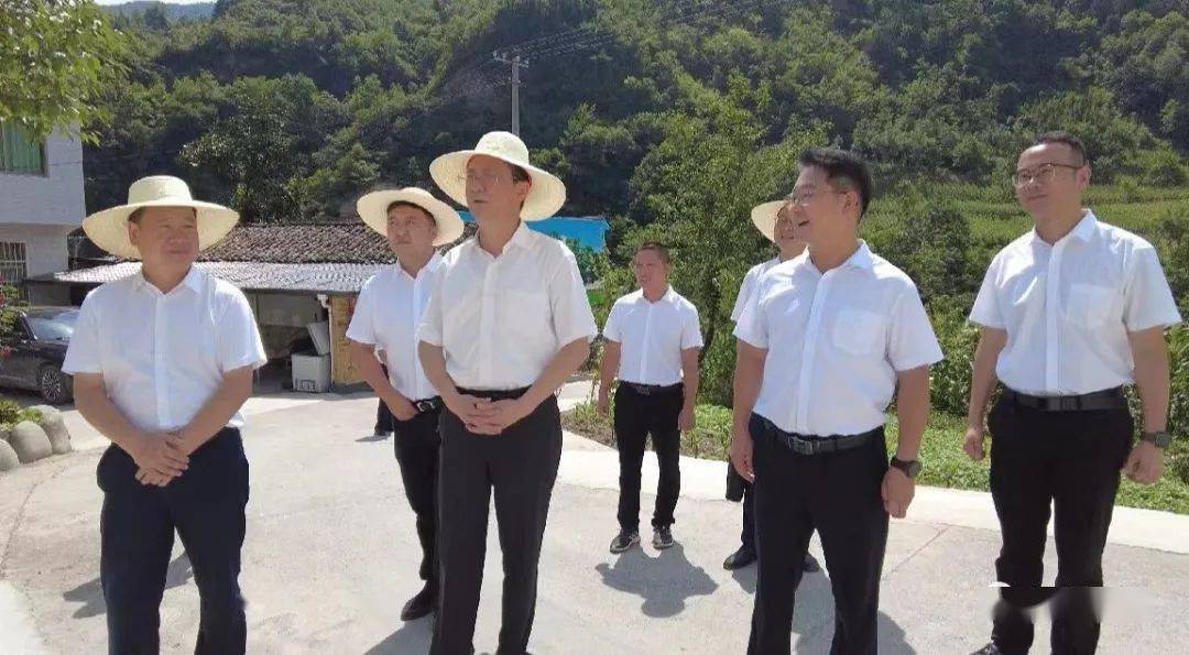 7月13日,县委书记杨军一行实地查看张家坝村乡村振兴示范创建工作.