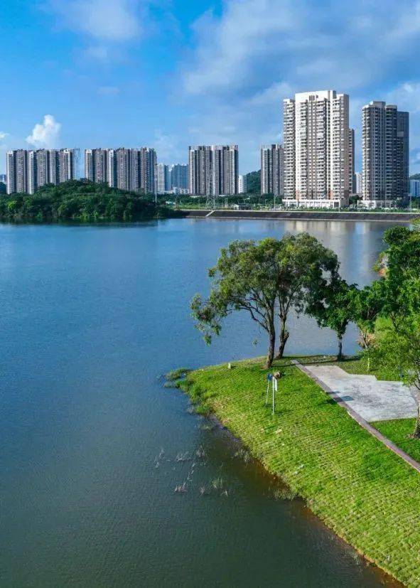 镶嵌在城市之中共青湖公园宛若一颗水晶通过无人机从高空俯视湖光山色