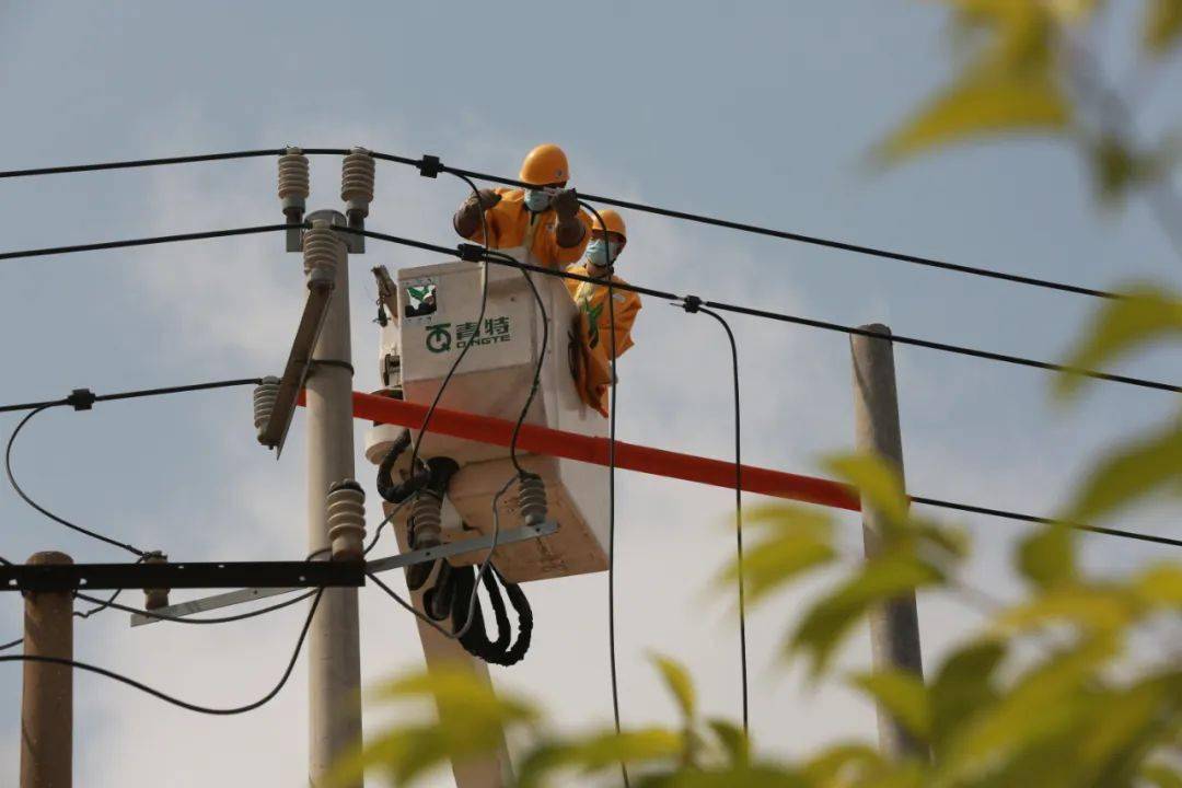 在姚哥莊社區韓伍屯村附近,國網高密市供電公司輸配電運檢中心帶電