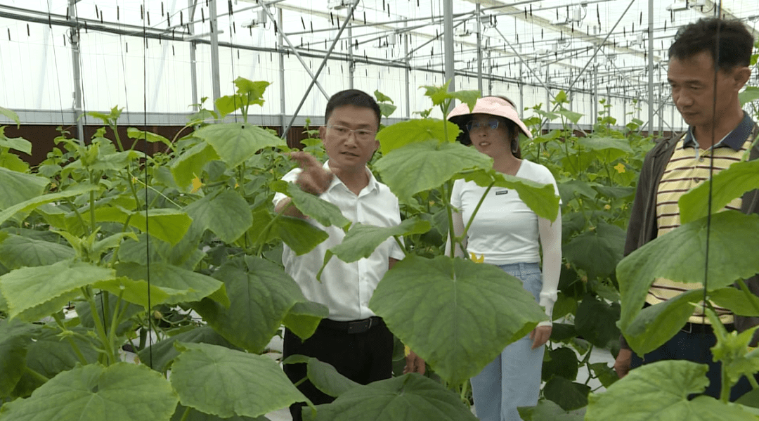 近年來,應城市三合鎮全力打造