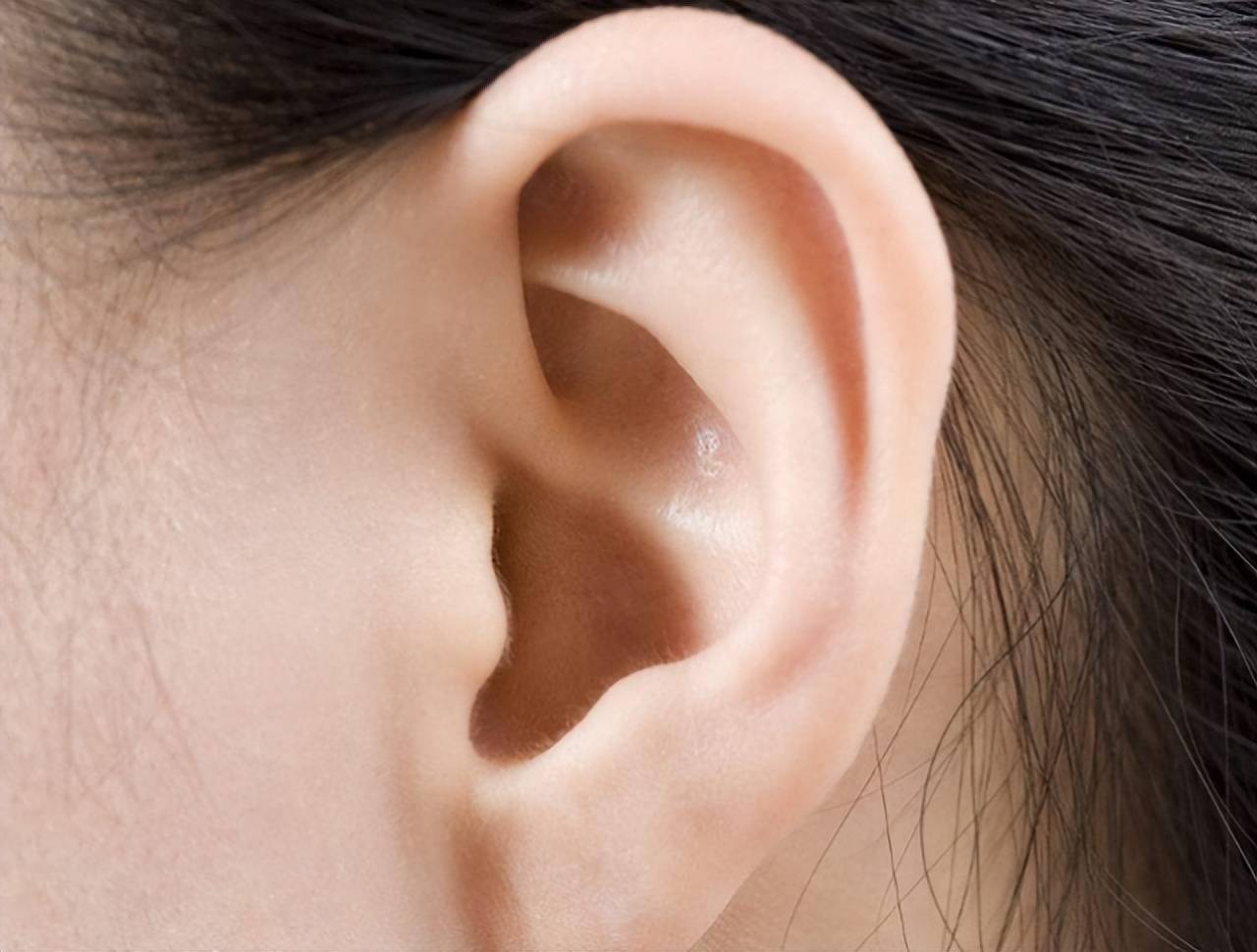 穷人耳富人耳有没有科学依据你属于哪种类型的耳朵呢