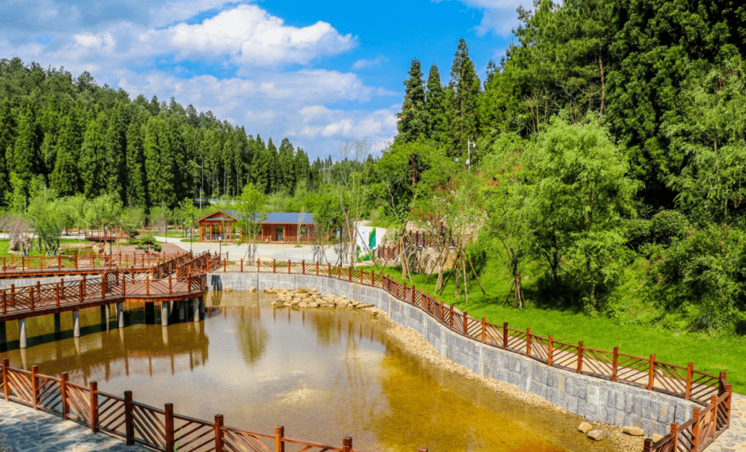 安顺九龙山风景区图片