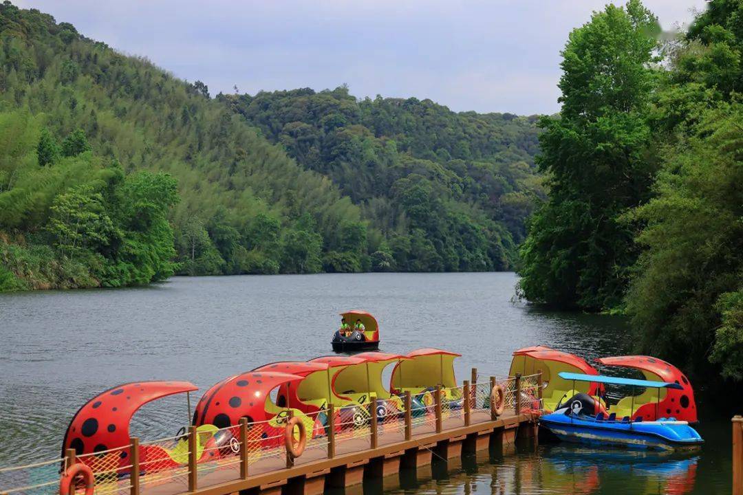 毕业旅行何需远行,来定南九曲度假村吧!免门票的那种_烧烤_活动_围屋