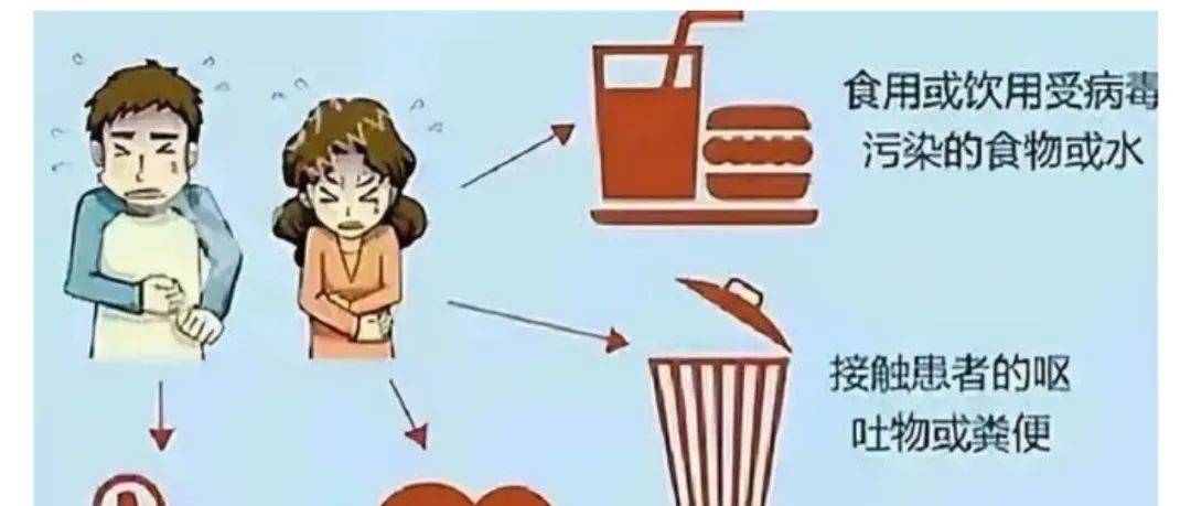 【健康】霍乱是什么?啥症状?怎么预防?_内蒙古_来源_症状