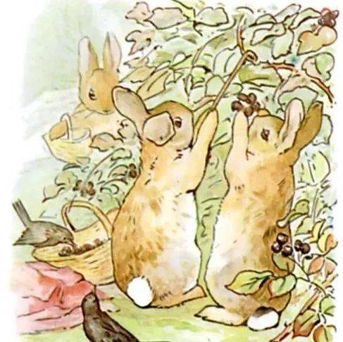 英文插画 | The Tale of Peter Rabbit_and_Mother_in