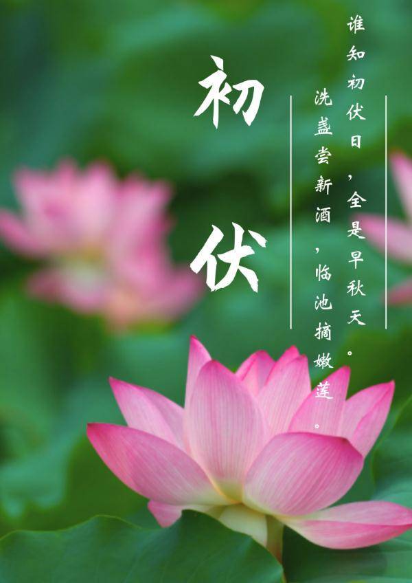 今日入伏_伏期_来源_古诗词