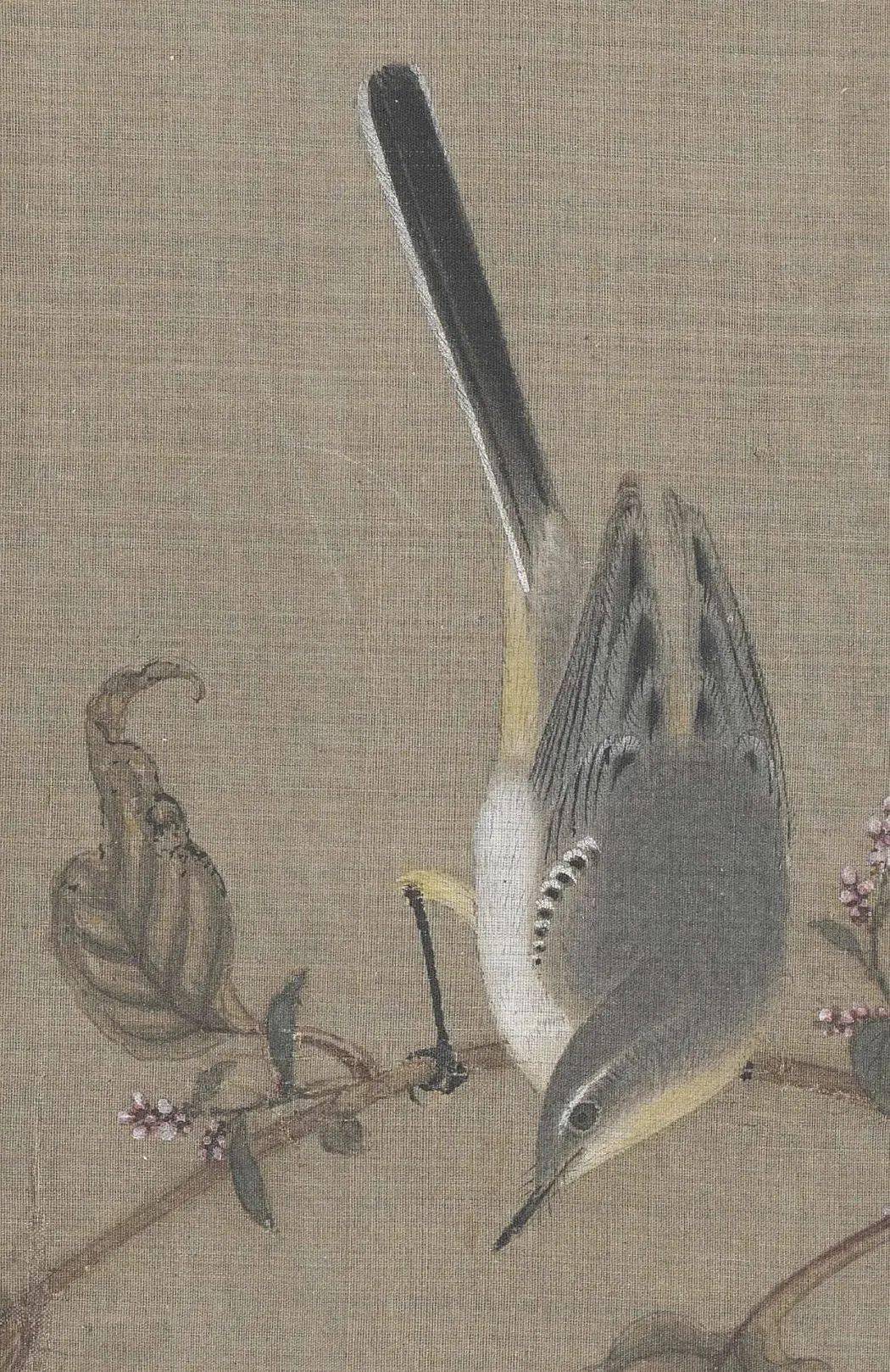 花鸟画_赵佶_写实