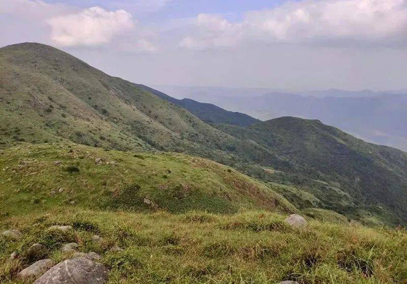 云浮大云雾山风景区图片