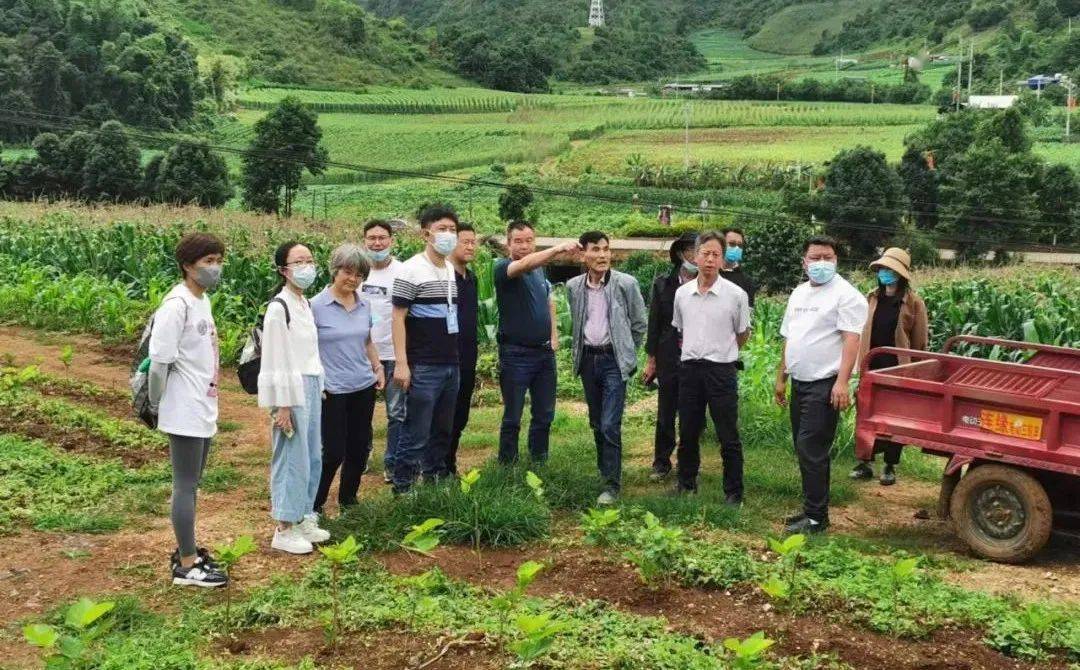 耿马建强用活驻村工作队激发乡村振兴新动能