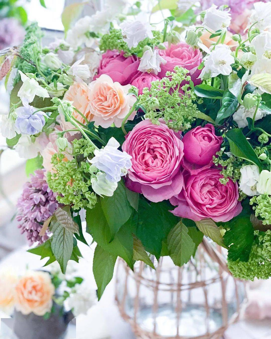 花开花落 桌上花园 Sweet Photo By