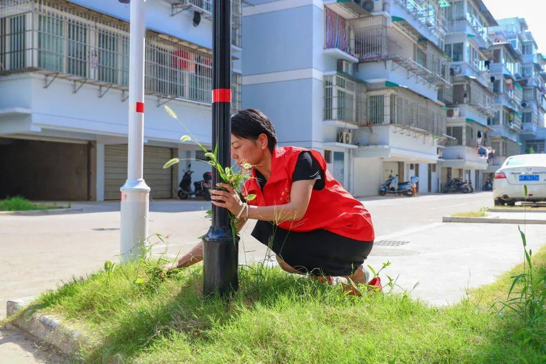 文明创建之星汪锦华网格蓝志愿红让文明之花处处绽放